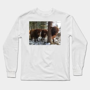 Scottish Highland Cattle Calves 1961 Long Sleeve T-Shirt